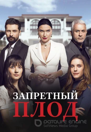 Запретный плод 1-177 серия турецкий сериал на русском языке смотреть бесплатно все серии